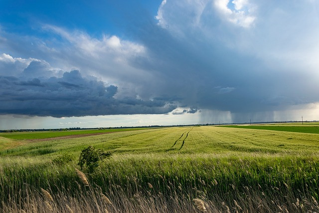 zdjęcie wyróżniające Szkody wywołane zmianą klimatu: podtopienia, susze. Ważne zapisy w polisach