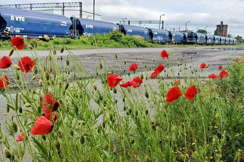 zdjęcie wyróżniające Przyroda i klimat to priorytety dla wyborców wszystkich opcji