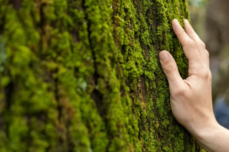 zdjęcie wyróżniające Zmiany klimatyczne zwiększają ryzyko chorób i przedwczesnych zgonów