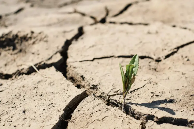 zdjęcie wyróżniające Polska nie jest przygotowana na zmiany klimatu