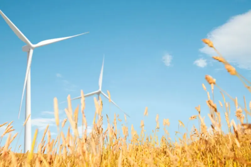 zdjęcie wyróżniające 57% Polaków liczy na spadek cen energii dzięki OZE