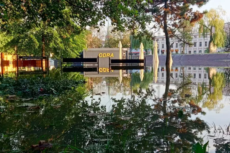 zdjęcie wyróżniające Zmiany klimatu mogą kosztować Polskę nawet 124 mld zł rocznie