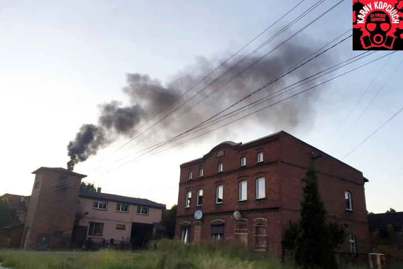 Kopciuchy nie odpuszczają nawet w środku lata