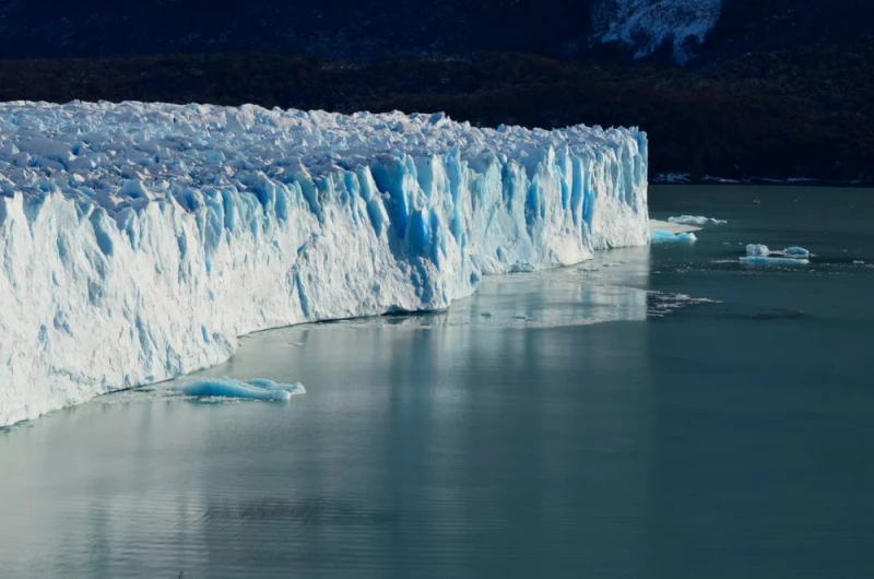 Przez zmianę klimatu w Polsce pojawią się egzotyczne choroby