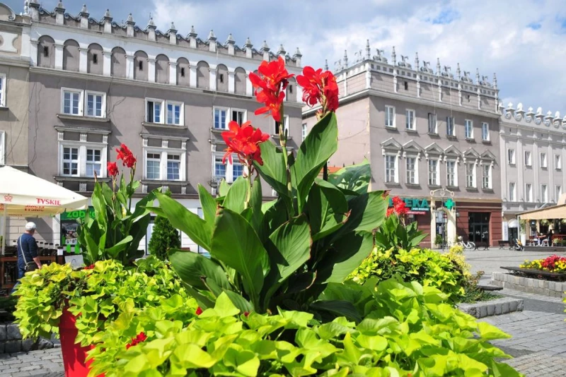 VII edycja budżetu obywatelskiego w Raciborzu