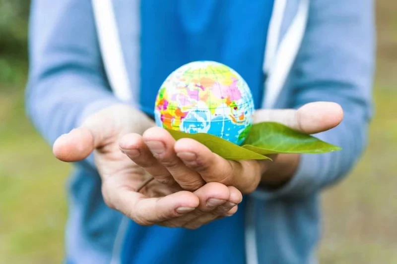 Rośnie liczba pozwów klimatycznych. "Prawo polskie zdecydowanie nie sprzyja klimatowi"