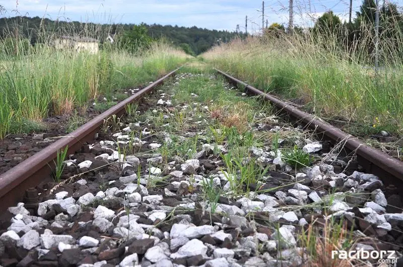 Droga zamiast torów? Likwidacja fragmentu linii kolejowej nr 176 coraz bliżej