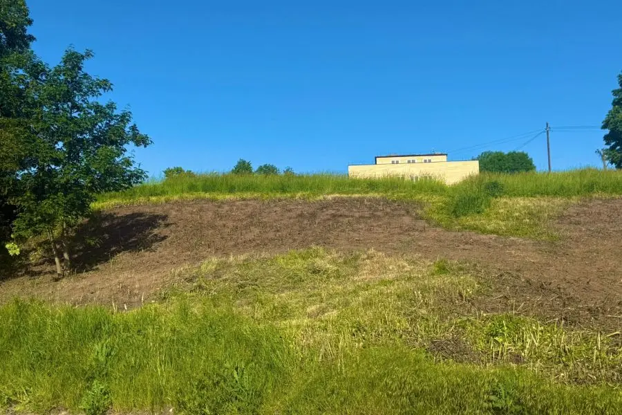 Racibórz będzie miał drugi mikrolas Miyawaki