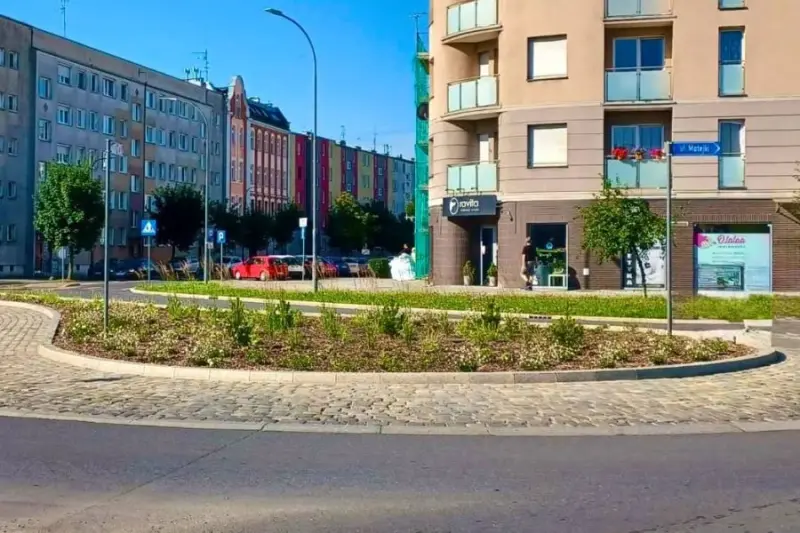 Nowe nasadzenia w Raciborzu mają poprawić jakość miejskiej przestrzeni