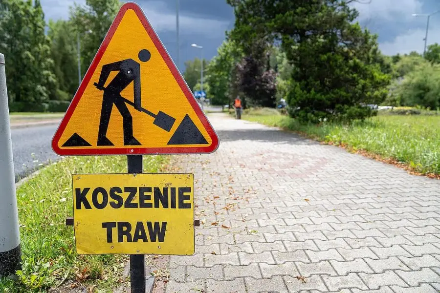 Wyższa trawa ma swoje zadanie. Skąd taki sposób pielęgnacji zieleni w Jastrzębiu-Zdroju?