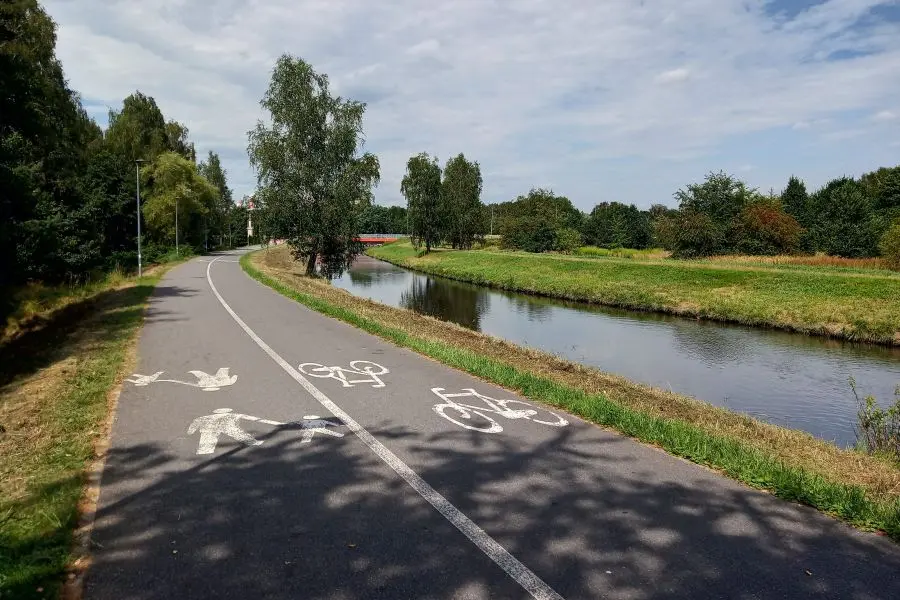 Zielony Tydzień w Rybniku. Warsztaty, spacery i akcje dla klimatu