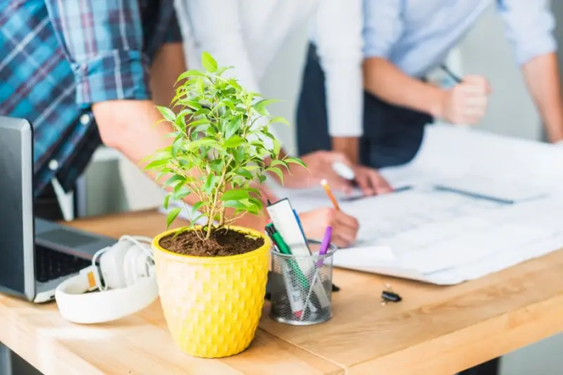 Country Sales Director poszukiwany. IVITAS Green rozwija sprzedaż w Polsce