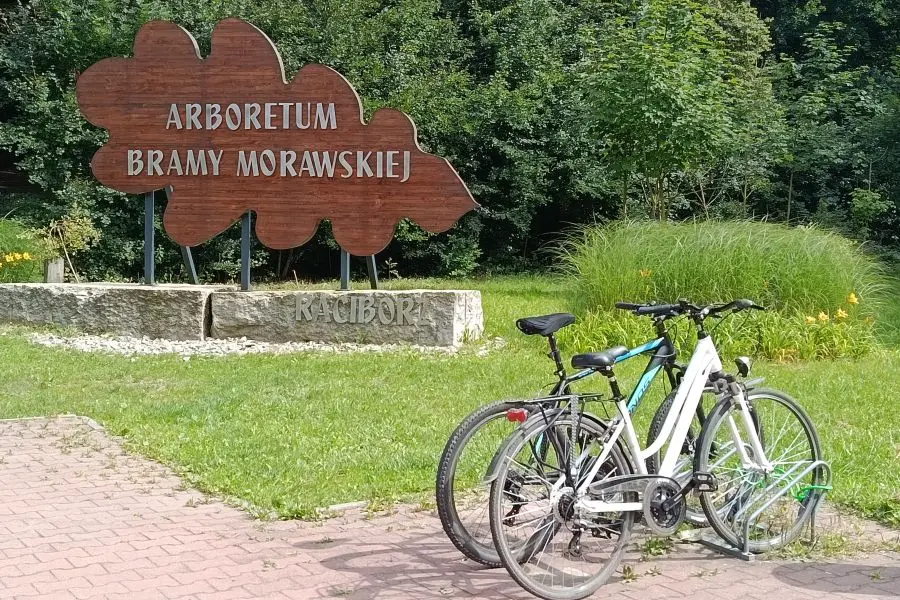 Racibórz, Rybnik i Jastrzębie-Zdrój w walce o tytuł Rowerowej Stolicy Polski