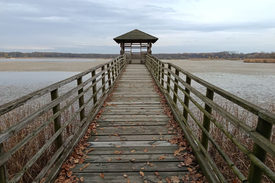 Powiat raciborski z tytułem „Dobry Polski Samorząd 2025”